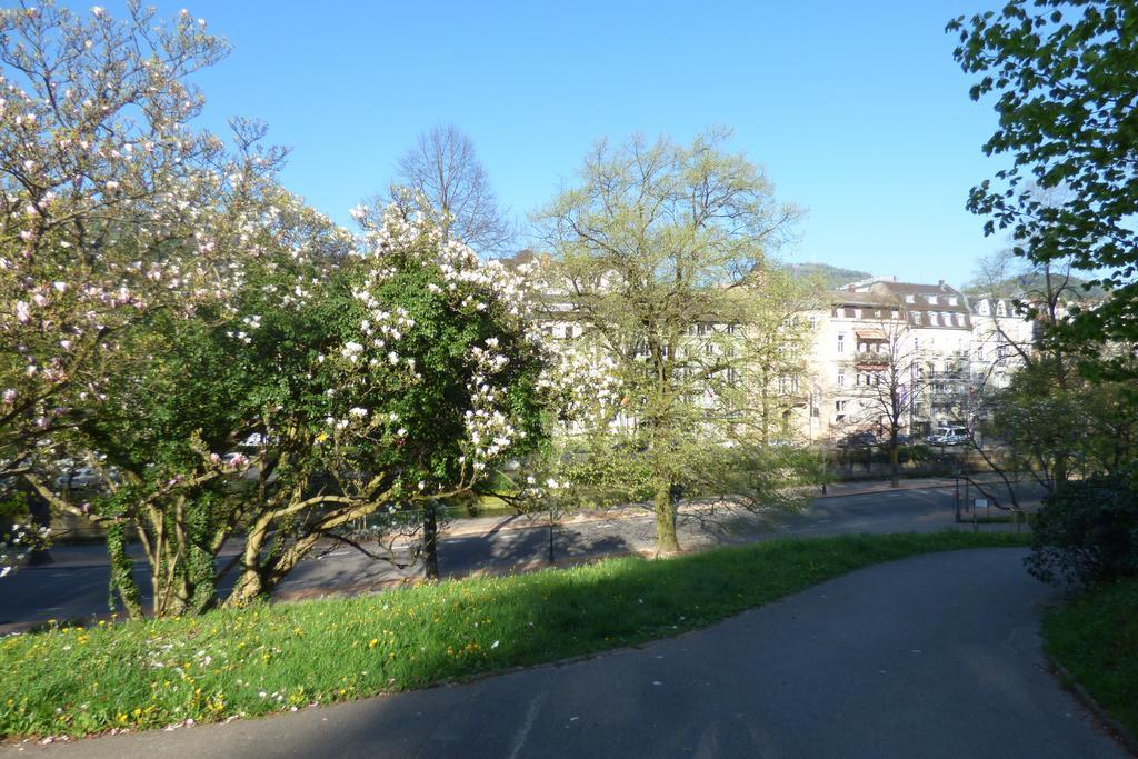 Colibri Apartment Baden-Baden Eksteriør bilde